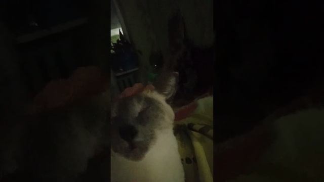 Всем уютного вечера,Любимые смотреть онлайн