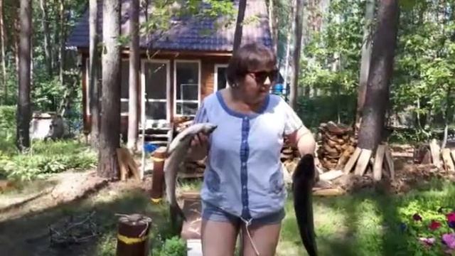 Дача. Дети. Растения. Орхидеи. Рододендроны смотреть онлайн