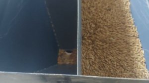 ПРИГОТОВЛЕНИЕ КОРМА ДЛЯ ДОЙНЫХ КОРОВ ?