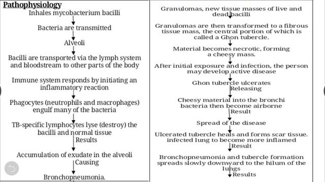 Tuberculosis Ppt смотреть онлайн