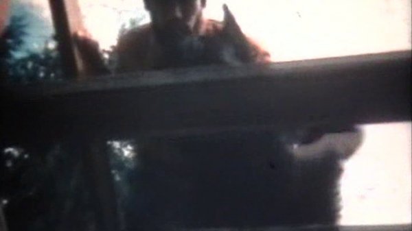 Хорошо, собака! (1977)