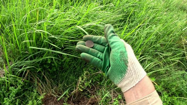 Много находок - XP Deus 2 - реальный поиск с металлоискателем ??#металлоискатель, #xpdeus2, #xporx