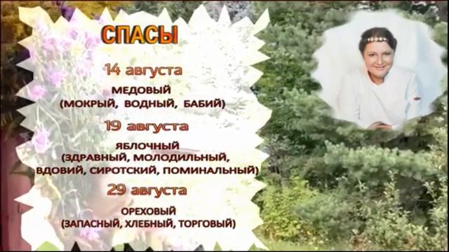 Спасы Общая информация и практика настройки смотреть онлайн