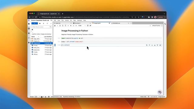 Image Processing in Python # 1 Read and Show images in Python Jupyter notebook смотреть онлайн
