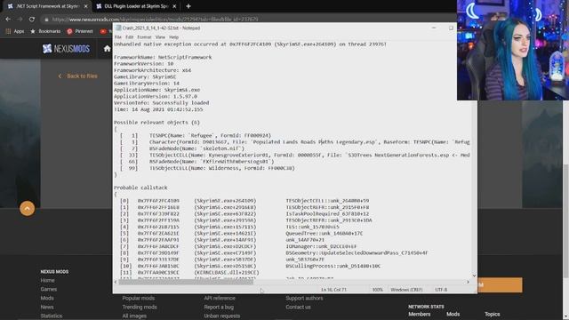 Skyrim SE Netscript Framework Install & Crash Guide (CTD FIX) смотреть онлайн