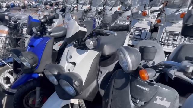 Владивосток Авторынок Зелёный Угол идём за скутером выбрали хонда такт 24 смотреть онлайн
