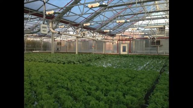 Gowanus Drinks: Thirsty Plants, Thirsty People смотреть онлайн