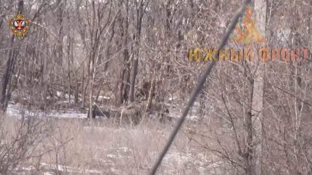 Эпичные кадры работы снайперской пары 58-го батальона СпН 1-го армейского корпуса смотреть онлайн