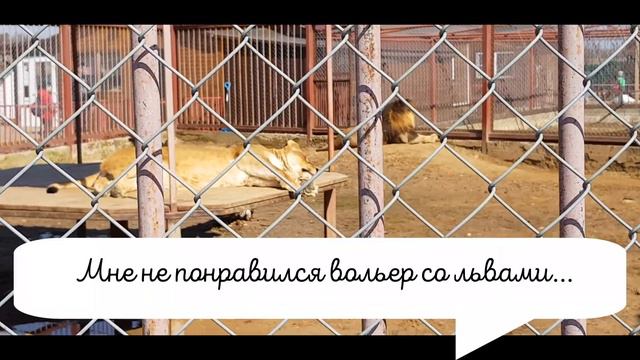 Обзор на зоопарк ЭКЗОТИК ПАРК! Какая экзотика нас ожидала? Львы? Леопарды? или Динозавры? смотреть онлайн