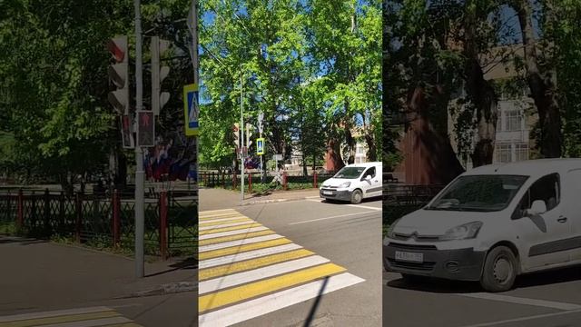 Вешняки, Новокосино, Реутов, Новогиреево, Терлецкий парк, парк Кусково, парк Радуга. Шахматист Толя смотреть онлайн