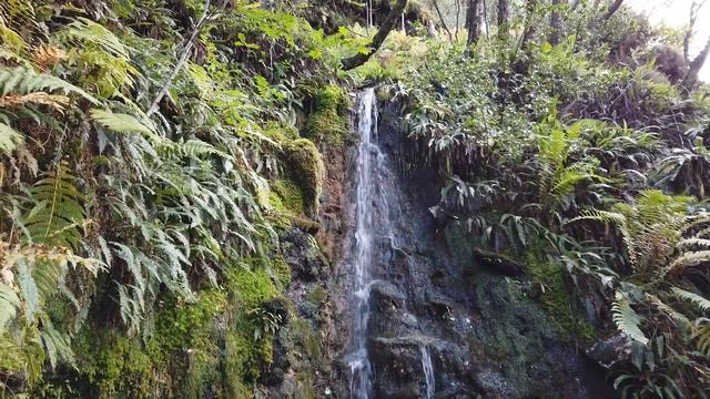 Волны Сознания