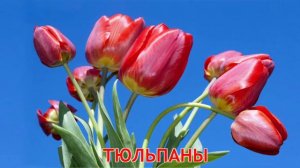 Карточки Домана Часть 10 Цветы!