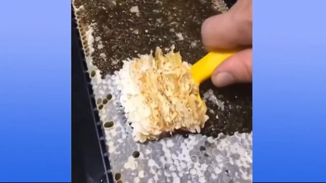 Видео без музыки, которое заставит вас расслабиться, успокоить и заснуть смотреть онлайн