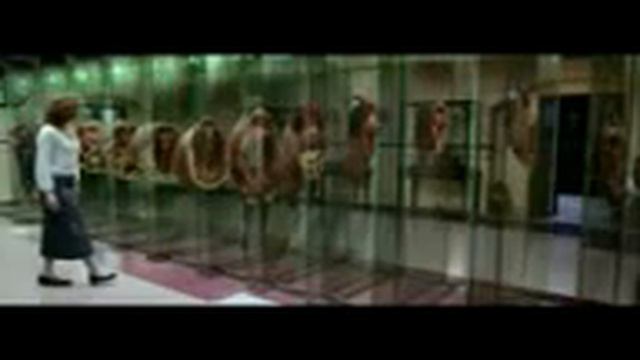 Лошадь порезало смотреть онлайн