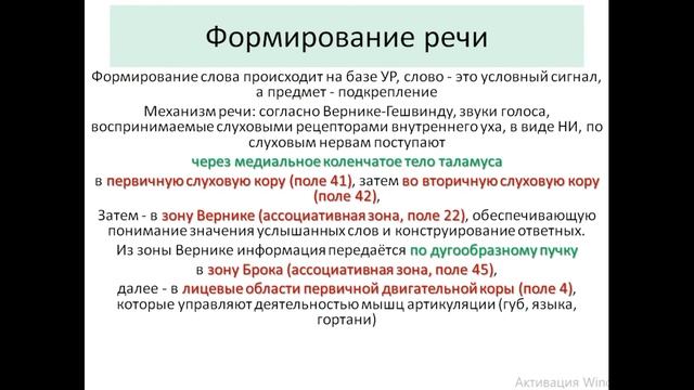 Речь. Понятие речи. Виды, функции речи, центры речи, нарушения речи. смотреть онлайн