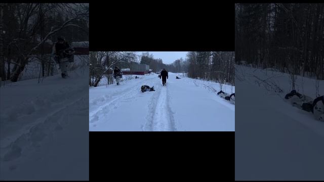 #обучение #омон