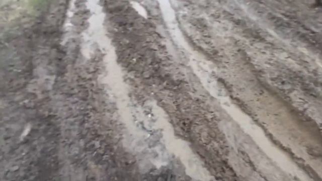 РАФ 2203 на грязевой резине 11