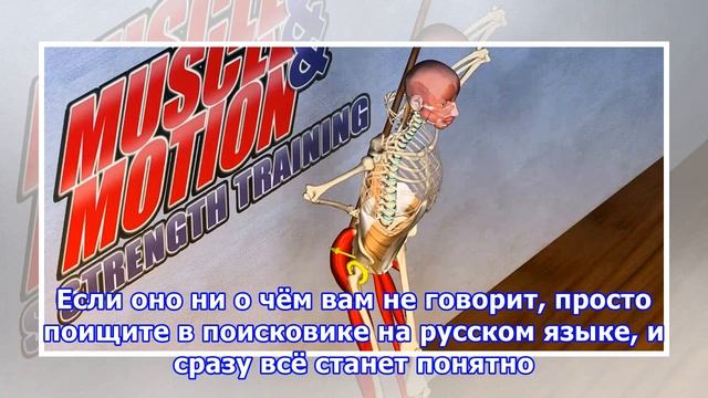 Muscle&Motion — приложение, которое заменит фитнес-тренера