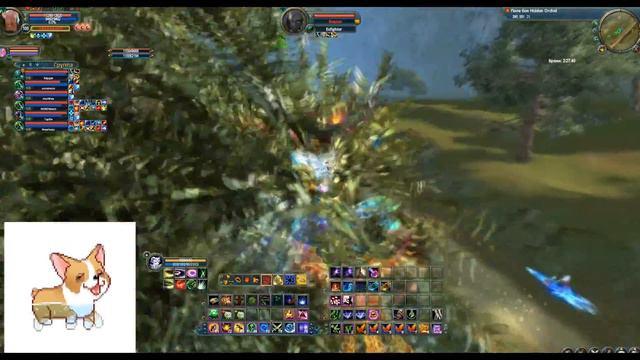 Exfighter vs Immortal 15/02/14 1 эшелон, гроза экспв смотреть онлайн