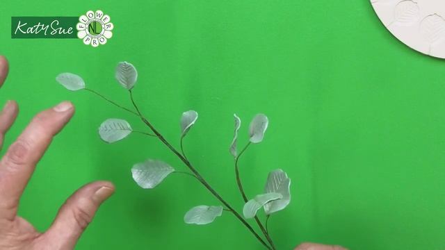 Make Wedding Foliage With Flower Pro | Baby Blue, Silver Dollar & Seeded Eucalyptus