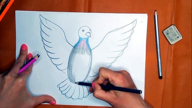 Как нарисовать голубя карандашом. Онлайн-школа рисования "Малевашки" смотреть онлайн