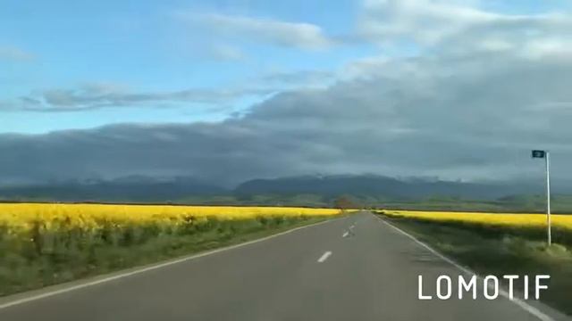 Горы Чечни смотреть онлайн