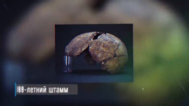 4 Самых удивительных археологических находки смотреть онлайн