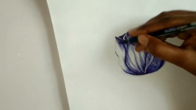 ? beautiful Rose drawing by blue pen tutorial step by step for beginners | rose sketch step by step смотреть онлайн