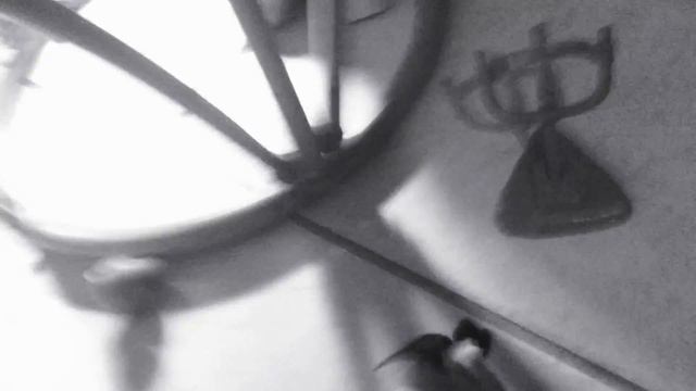 Angry birds show angry birds fantastic adventures смотреть онлайн