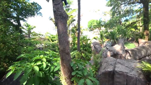 Дино Парк на Пхукете ощути атмосферу юрского периода! 0+ смотреть онлайн