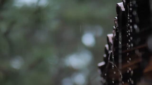 Soothing Rain Sound On Roof | 10 Hours Rain Sounds For Sleep