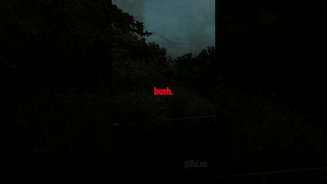 Did You Know This About Shi No Numa? смотреть онлайн