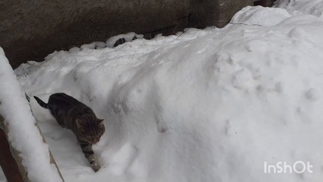 Жизнь после инсульта продолжается.Спускаюсь и поднимаюсь по лестнице. смотреть онлайн