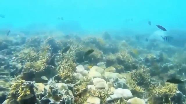 4к экшн камера