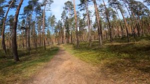 Жизнь  после развода спустя 4 года.