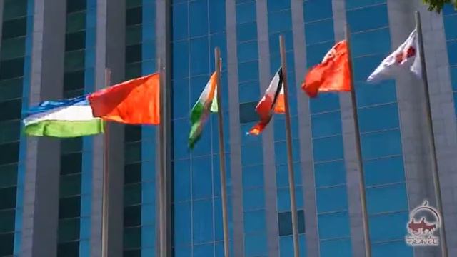 Мой ташкент