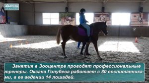 Новые лошади в Зооцентре «Надежда»