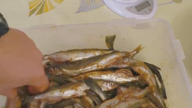 ВЯЛЕНАЯ МОЙВА, КАК ВЯЛИТЬ РЫБУ ЗИМОЙ, отличная закуска к пиву от Fisherman DV. 27 RUS смотреть онлайн