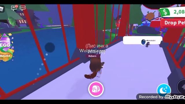 Неоновый wolpertinger что за него дают? смотреть онлайн
