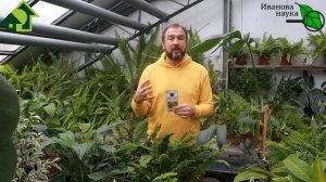 ЦЕОЛИТ ZION ЦИОН - есть решение в 150 РАЗ ДЕШЕВЛЕ - ЗА КОПЕЙКИ!!! БИОАКТИВАЦИЯ ЦЕОЛИТА - ваш ПРОФИТ