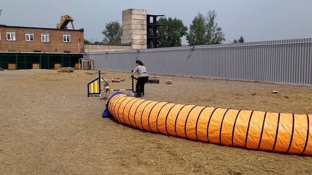 Жесткий туннель для аджилити смотреть онлайн