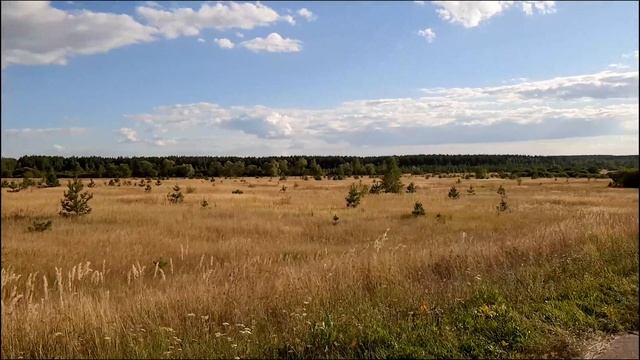 Как вымирают села. Кирдяшево, Наровчатского района, Пензенской области смотреть онлайн