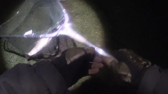 Бешенный Клев белого амура. смотреть онлайн