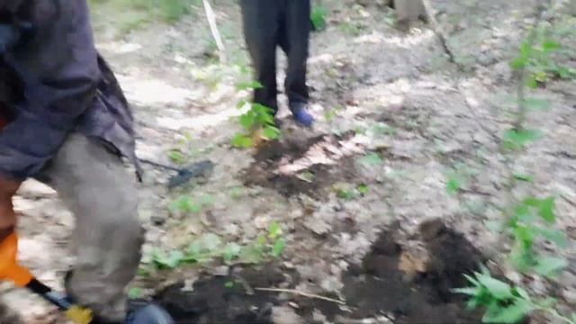 Коп с друзьями по дороге с Саратовского слёта!