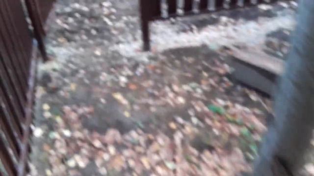 Расчистка учаски от деревьев часть 2 смотреть онлайн