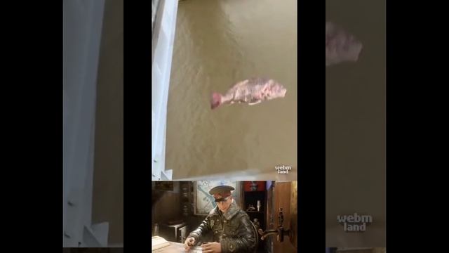 Когда хотел как лучше... смотреть онлайн