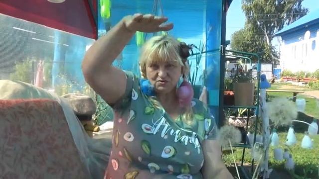 Где еще-"Козлобородник"=это шар одуванчика с Востока на нашем участке...интересно смотреть онлайн
