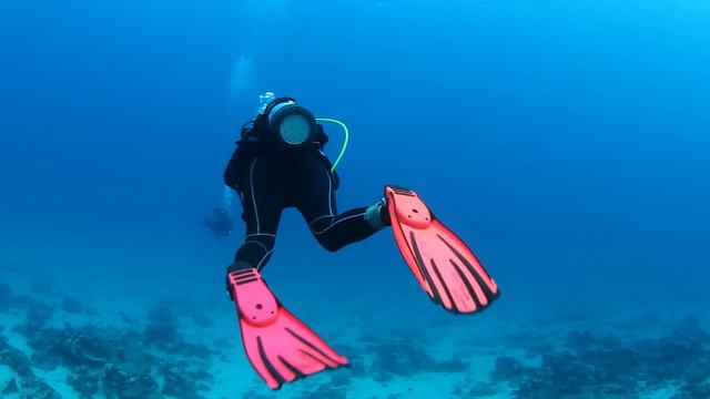 O nouă Descoperire Înfricoșătoare care a Speriat Oamenii de Știință a fost Făcută în Oceanul Atlant смотреть онлайн
