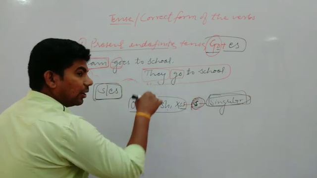 Tense/ Correct Form Of The Verbs