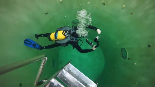 Декомпрессиметр Aqua Lung i750T, испытания под водой смотреть онлайн